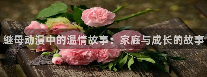 最终幻想同人动漫：継母动漫中的温情故事：家庭与成长的故事